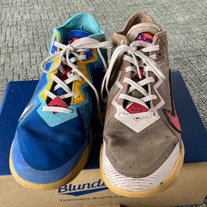 Nike Lebron James space jams Wiley coyote sneakers